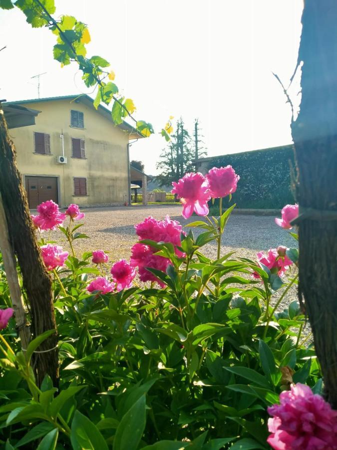Corte Ohana Monteforte d'Alpone Exterior photo