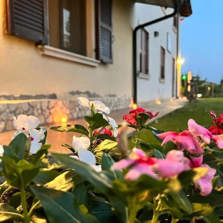 Corte Ohana Monteforte d'Alpone Exterior photo